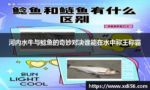 好博体育