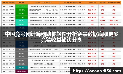 中国竞彩网计算器助你轻松分析赛事数据赢取更多竞猜收益秘诀分享