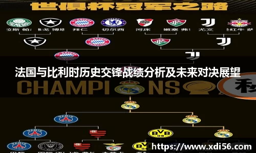 法国与比利时历史交锋战绩分析及未来对决展望